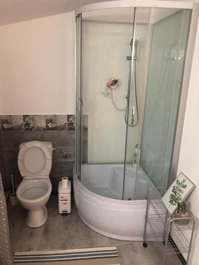Apartment Casa Sancrai Targu Mures